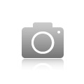 iCAP PRO 光譜儀
